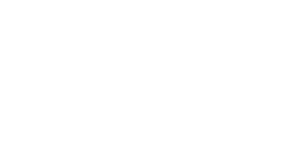 Website logo complet